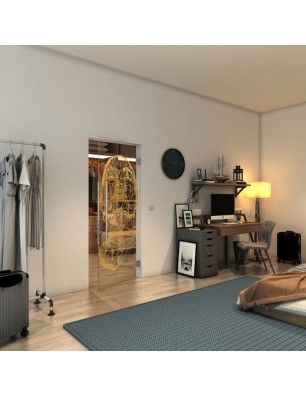 Pendeltür - Fineprint Model 103 Gold auf Klarglas