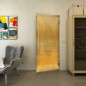 Pendeltür - Fineprint Modell 025 Gold auf Grauglas