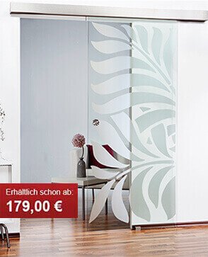 Ganzschiebetüren-Klar schiebetür-eco-line-klar